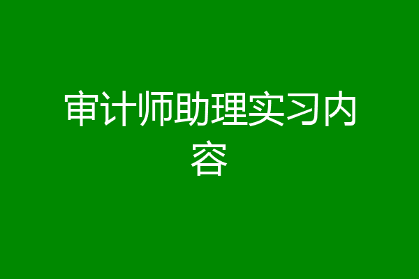 审计师助理实习内容