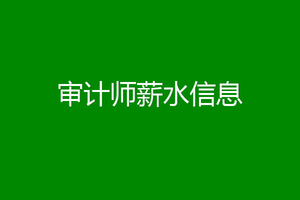 审计师薪水信息