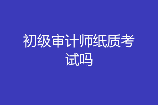 初级审计师纸质考试吗
