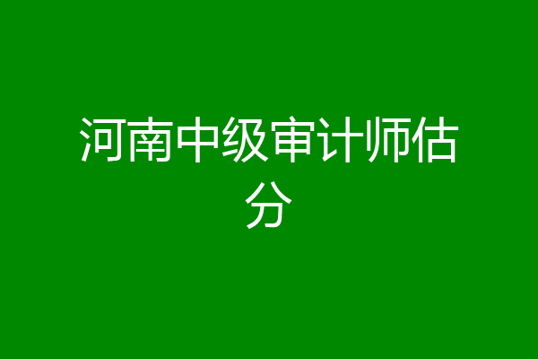 河南中级审计师估分