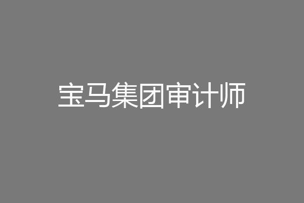 宝马集团审计师