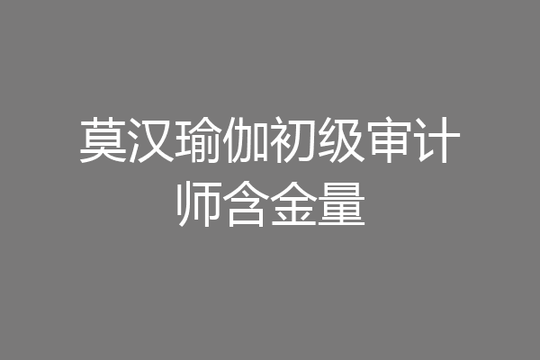 莫汉瑜伽初级审计师含金量