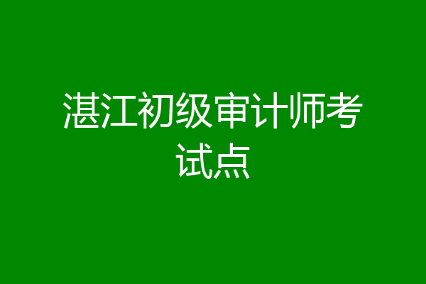 湛江初级审计师考试点