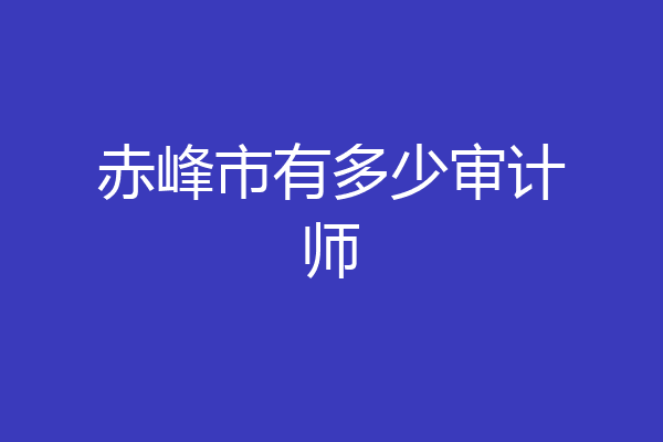 赤峰市有多少审计师