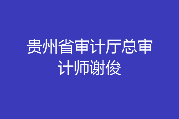 贵州省审计厅总审计师谢俊