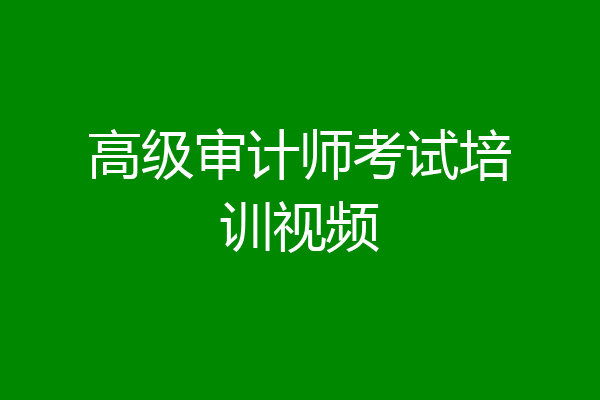 高级审计师考试培训视频