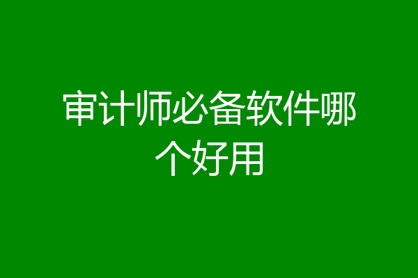 审计师必备软件哪个好用