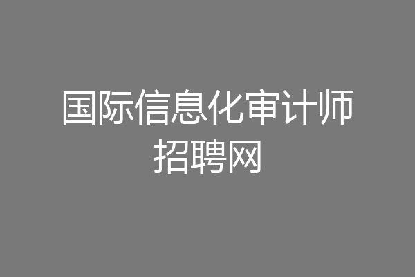 国际信息化审计师招聘网