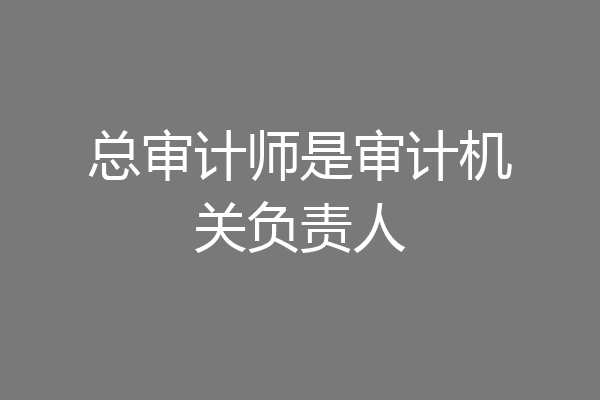 总审计师是审计机关负责人