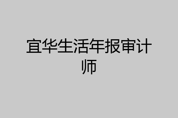 宜华生活年报审计师