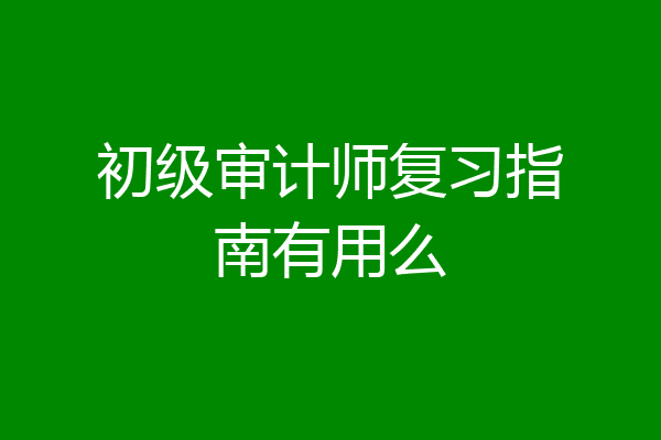 初级审计师复习指南有用么