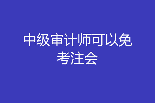 中级审计师可以免考注会