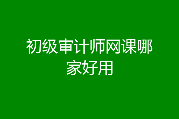 初级审计师网课哪家好用