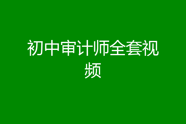 初中审计师全套视频