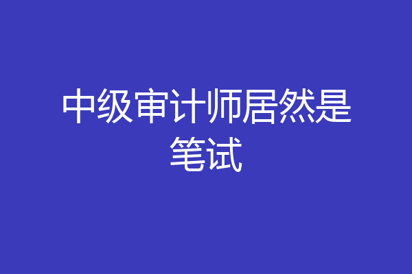 中级审计师居然是笔试