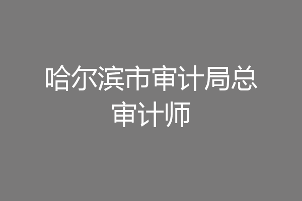 哈尔滨市审计局总审计师