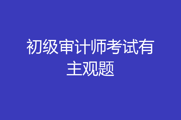 初级审计师考试有主观题