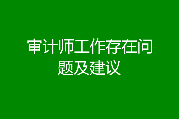 审计师工作存在问题及建议