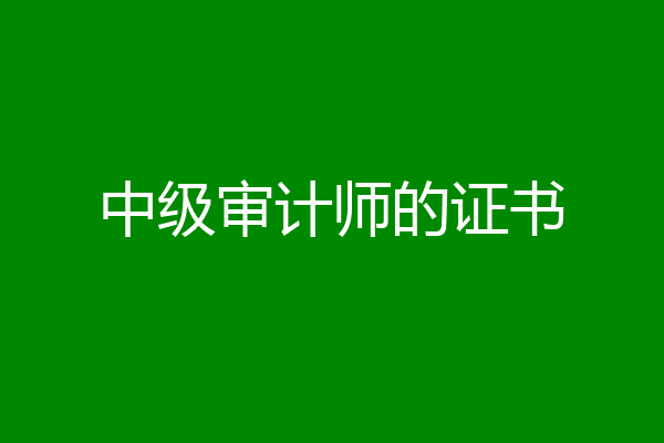中级审计师的证书