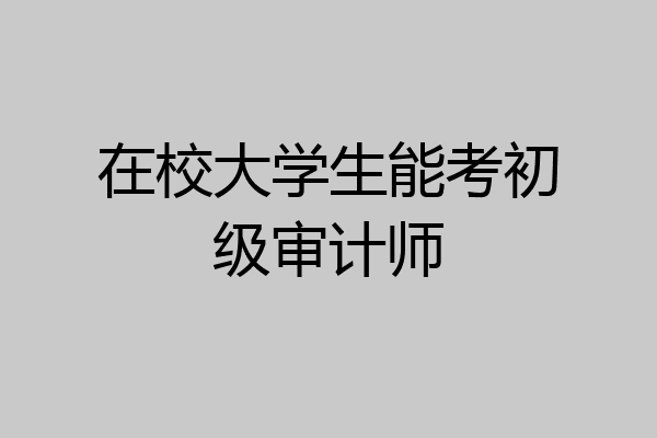 在校大学生能考初级审计师