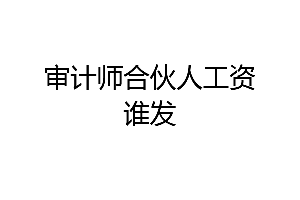 审计师合伙人工资谁发
