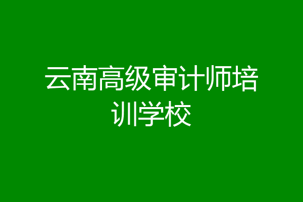 云南高级审计师培训学校