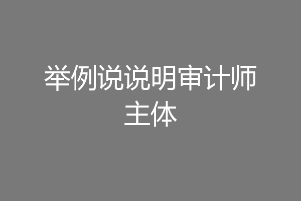 举例说说明审计师主体