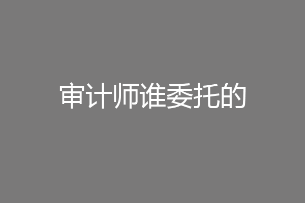 审计师谁委托的