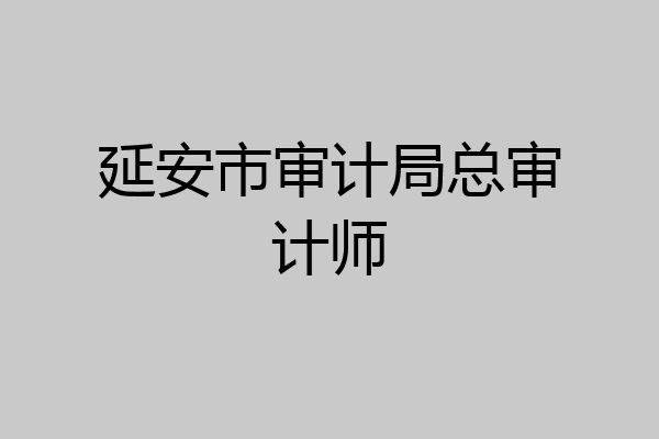 延安市审计局总审计师