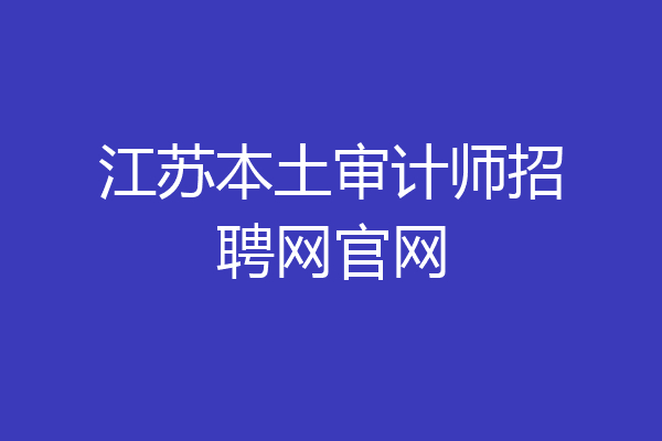 江苏本土审计师招聘网官网