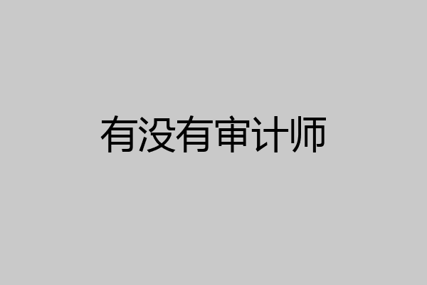 有没有审计师