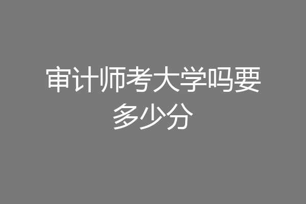 审计师考大学吗要多少分
