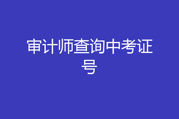 审计师查询中考证号