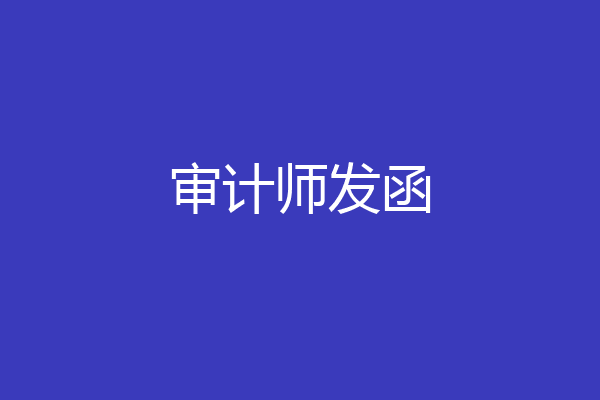 审计师发函
