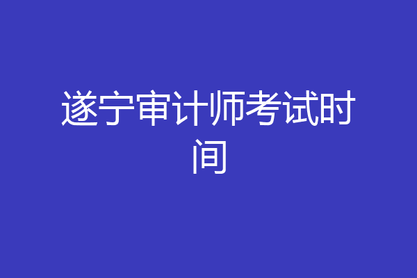 遂宁审计师考试时间