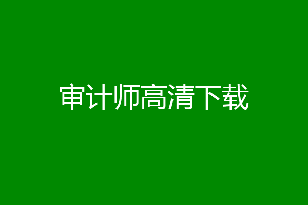 审计师高清下载