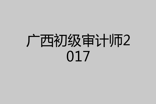 广西初级审计师2017