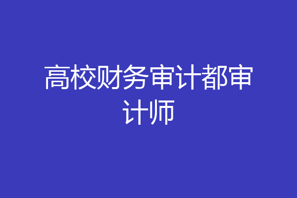 高校财务审计都审计师