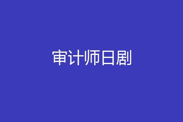 审计师日剧