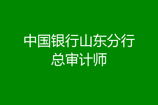 中国银行山东分行总审计师