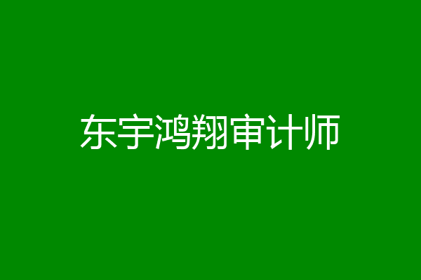 东宇鸿翔审计师