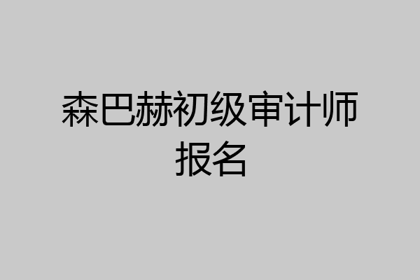 森巴赫初级审计师报名
