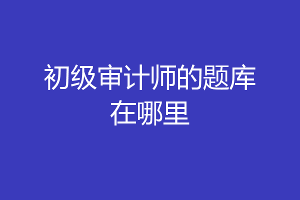 初级审计师的题库在哪里