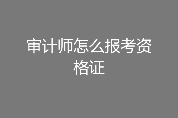 审计师怎么报考资格证
