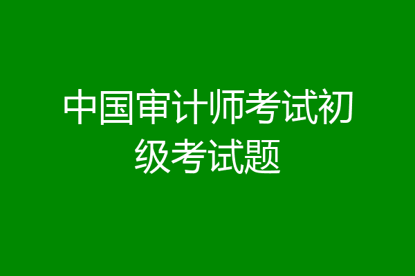 中国审计师考试初级考试题