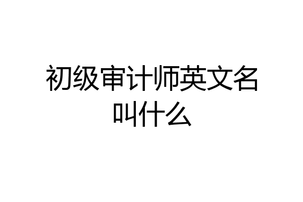 初级审计师英文名叫什么