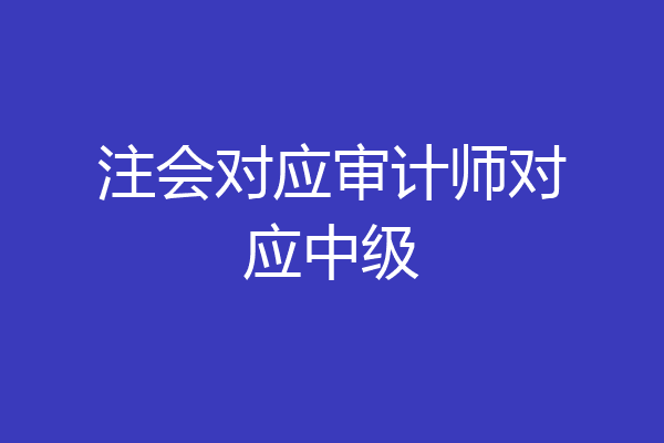 注会对应审计师对应中级