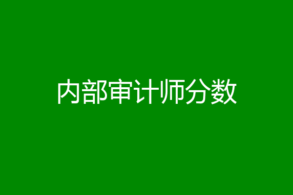 内部审计师分数