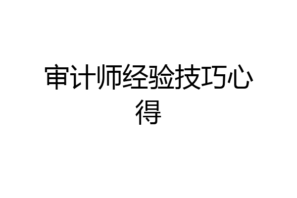 审计师经验技巧心得