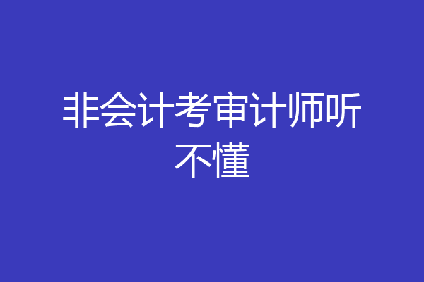 非会计考审计师听不懂